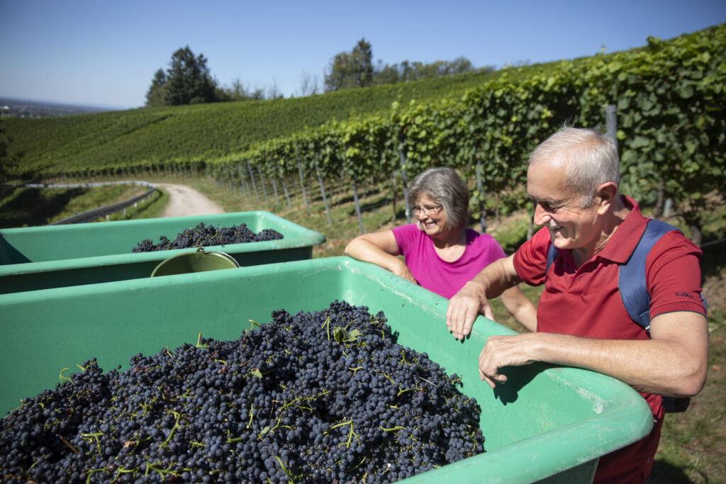 Naturpark-AugenBlick-Runde Obersasbach