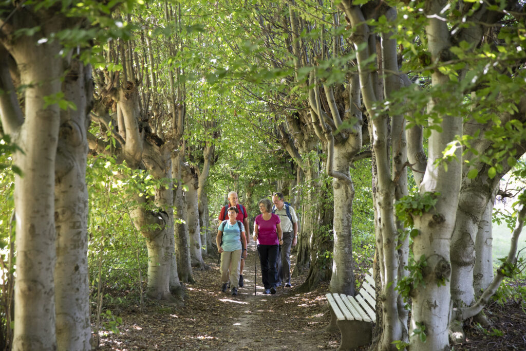 Naturpark-AugenBlick-Runde Obersasbach