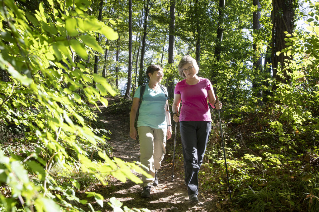 Naturpark-AugenBlick-Runde Obersasbach