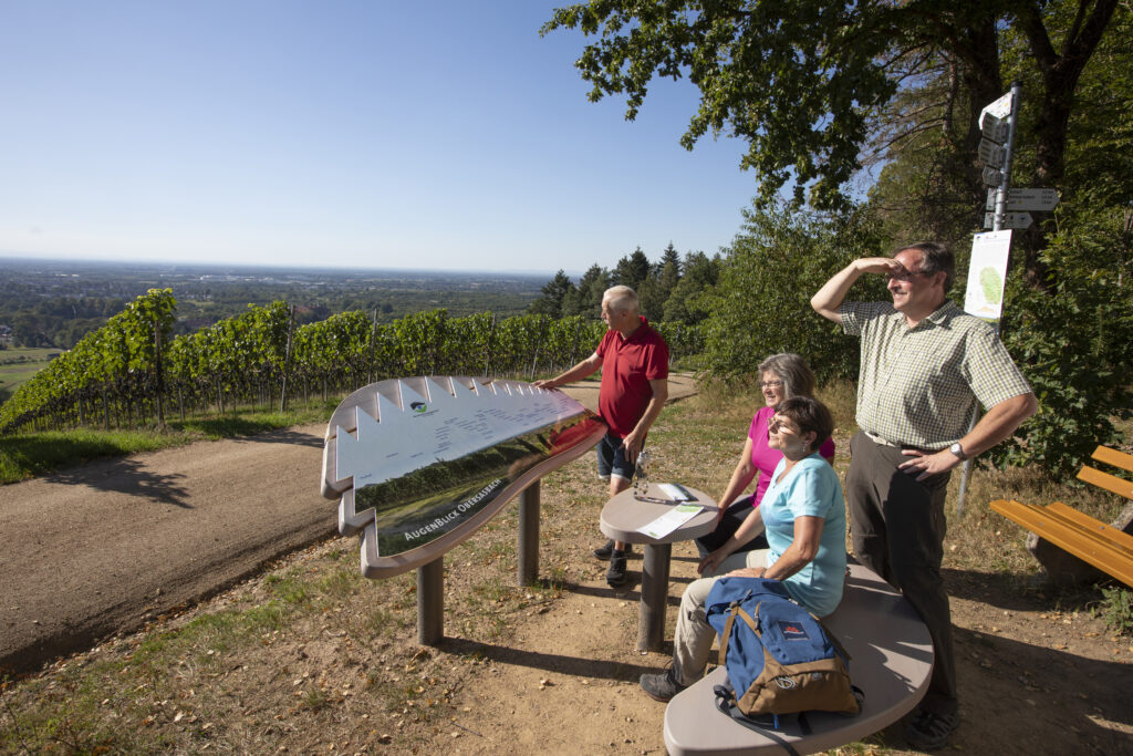 Naturpark-AugenBlick-Runde Obersasbach