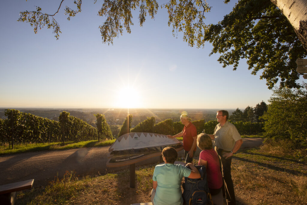 Naturpark-AugenBlick-Runde Obersasbach