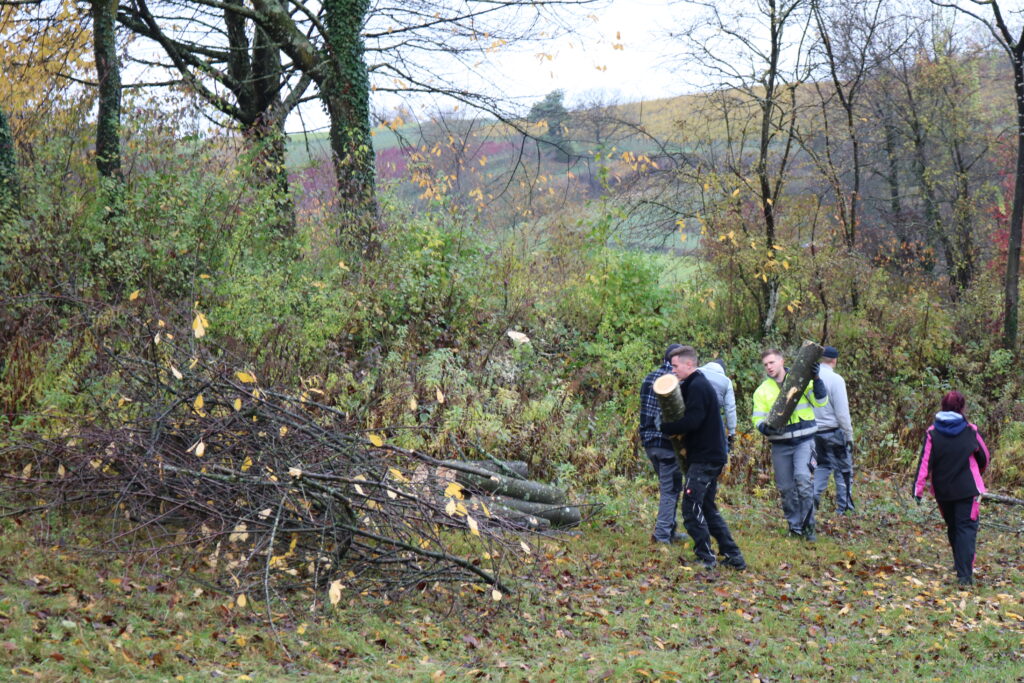 Ehrensache Natur Lahr-Sulz neue Streuobstwiese