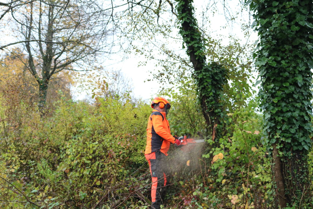 Bei der gemeinsamen Landschaftspflege-Aktion des Naturparks Schwarzwald Mitte/Nord, des LEV und der Stadt Lahr in Sulz waren rund 45 ehrenamtliche Helferinnen und Helfer dabei.