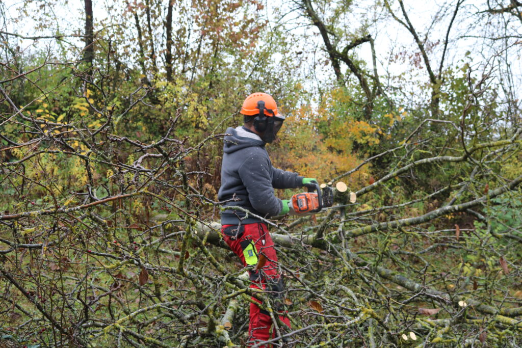 Bei der gemeinsamen Landschaftspflege-Aktion des Naturparks Schwarzwald Mitte/Nord, des LEV und der Stadt Lahr in Sulz waren rund 45 ehrenamtliche Helferinnen und Helfer dabei.