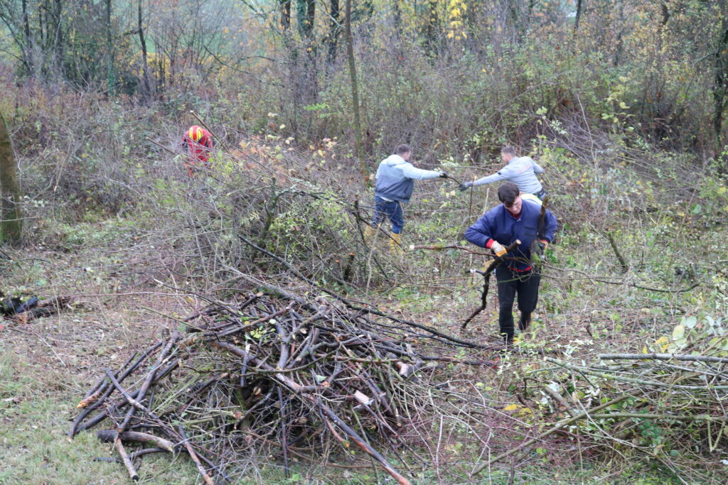 Ehrensache Natur Lahr-Sulz neue Streuobstwiese