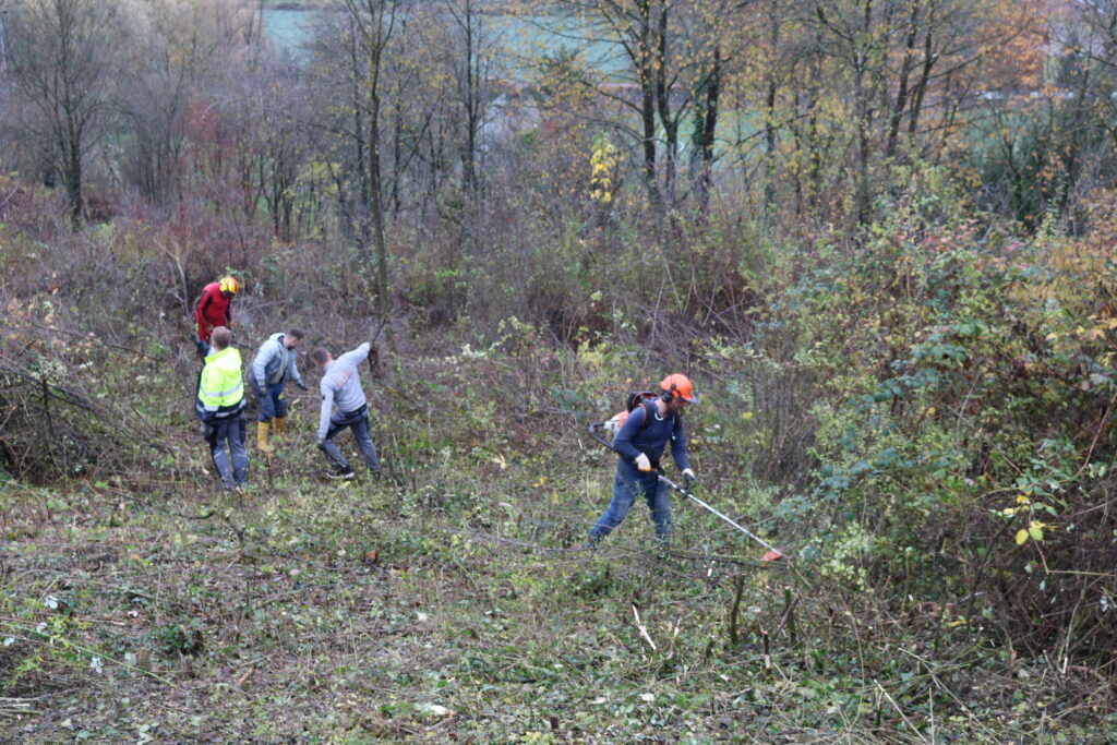 Bei der gemeinsamen Landschaftspflege-Aktion des Naturparks Schwarzwald Mitte/Nord, des LEV und der Stadt Lahr in Sulz waren rund 45 ehrenamtliche Helferinnen und Helfer dabei.