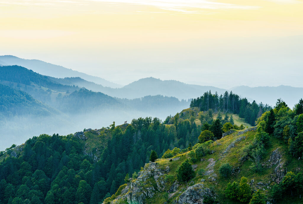 badenova Kino-Event WildWestwegs