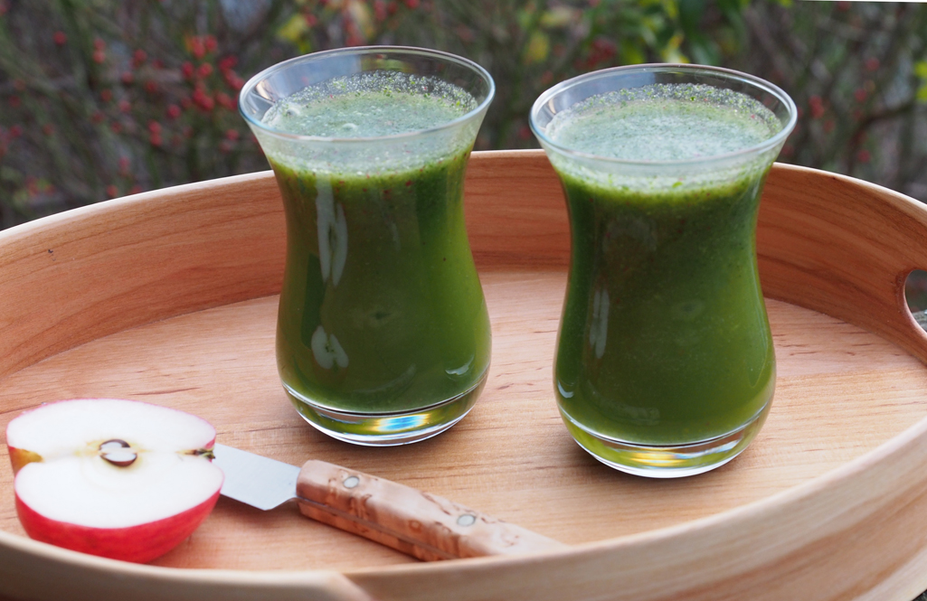 Kräuterwissen mit Monika Wurft - wintergrüner Smoothie