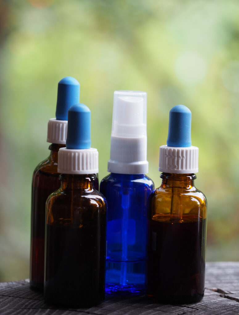 Monika Wurft - Feld-Thymian