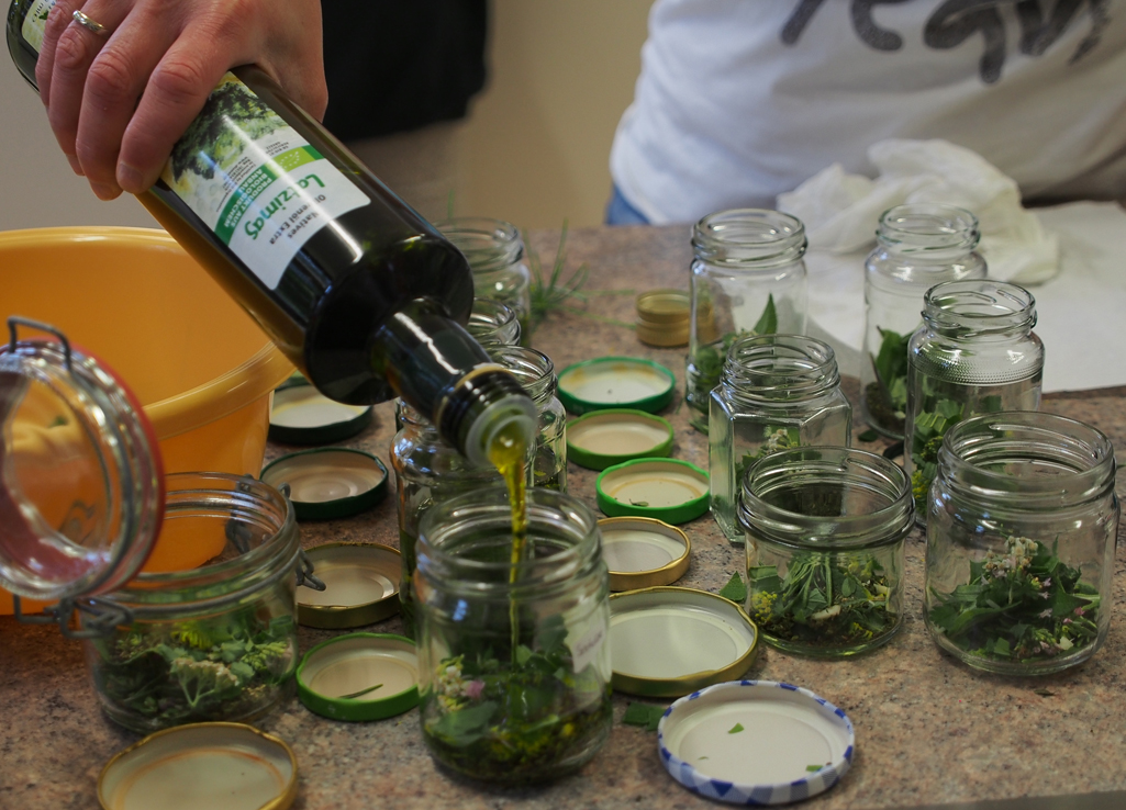 Monika Wurft - Feld-Thymian