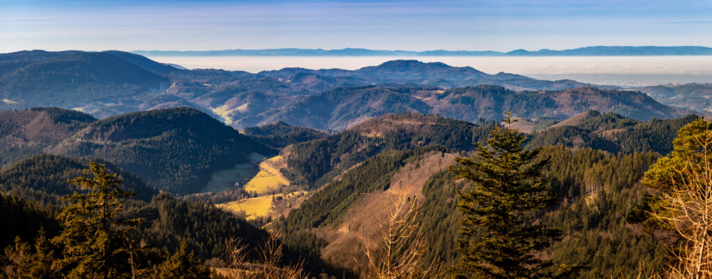 Ausblick Richtung Vogesen