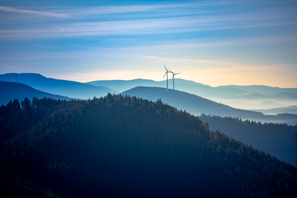 Schwarzwald Panorama