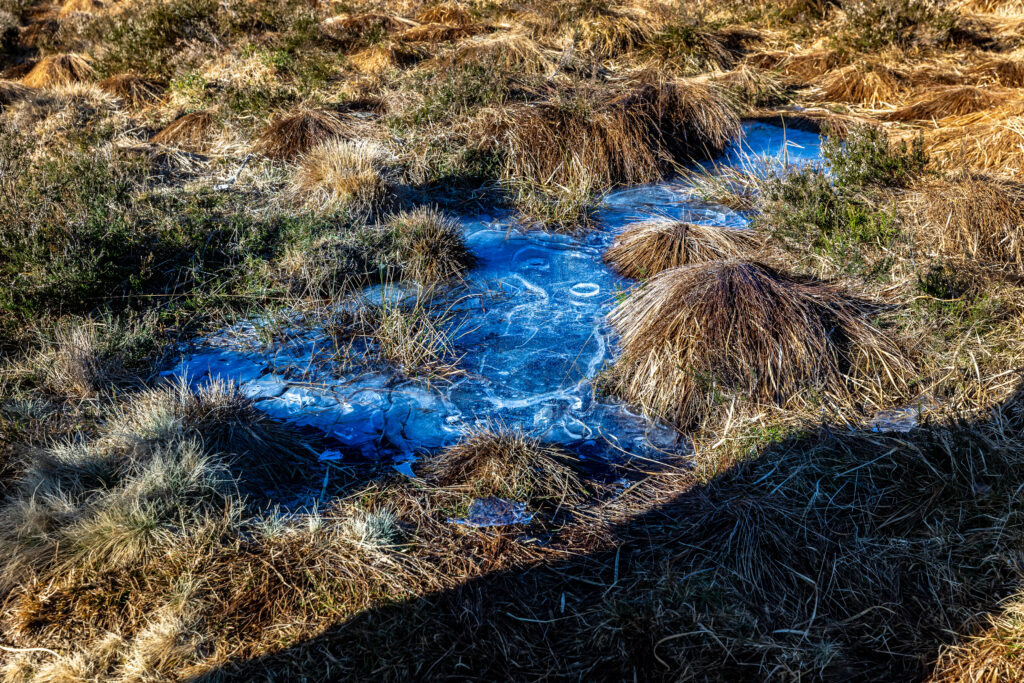 Frostige Grindelandschaft
