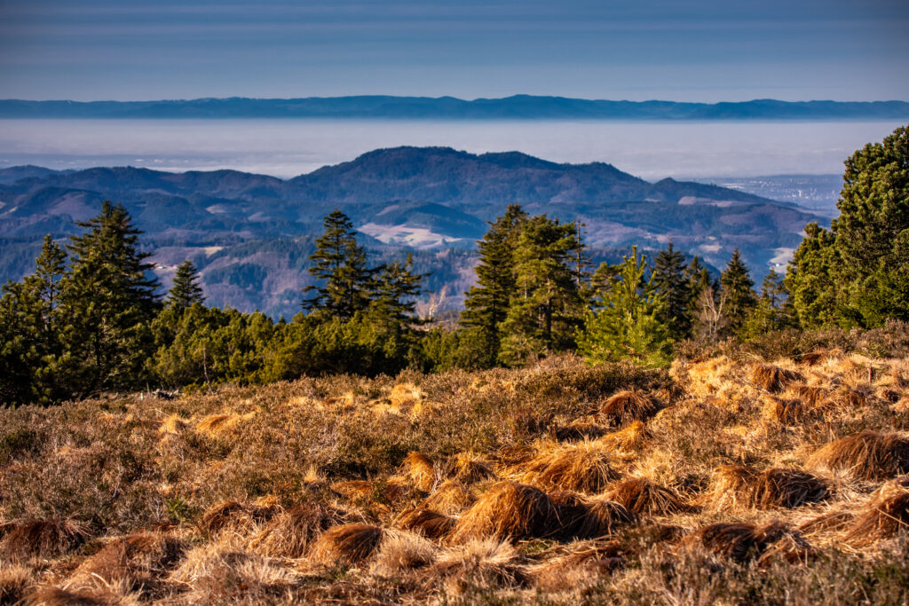 Wandern mit Ausblick