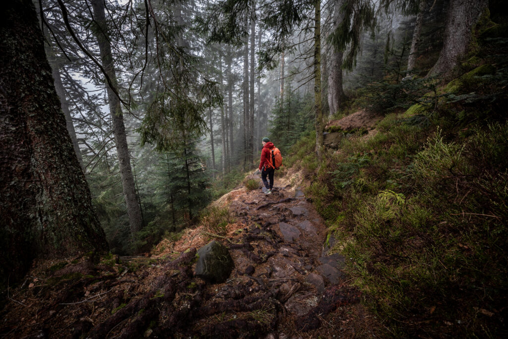 Unterwegs im Bannwald