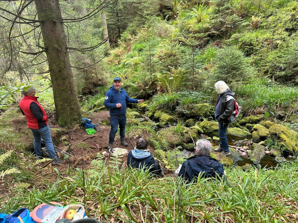 Unterwegs im Schwarzwald
