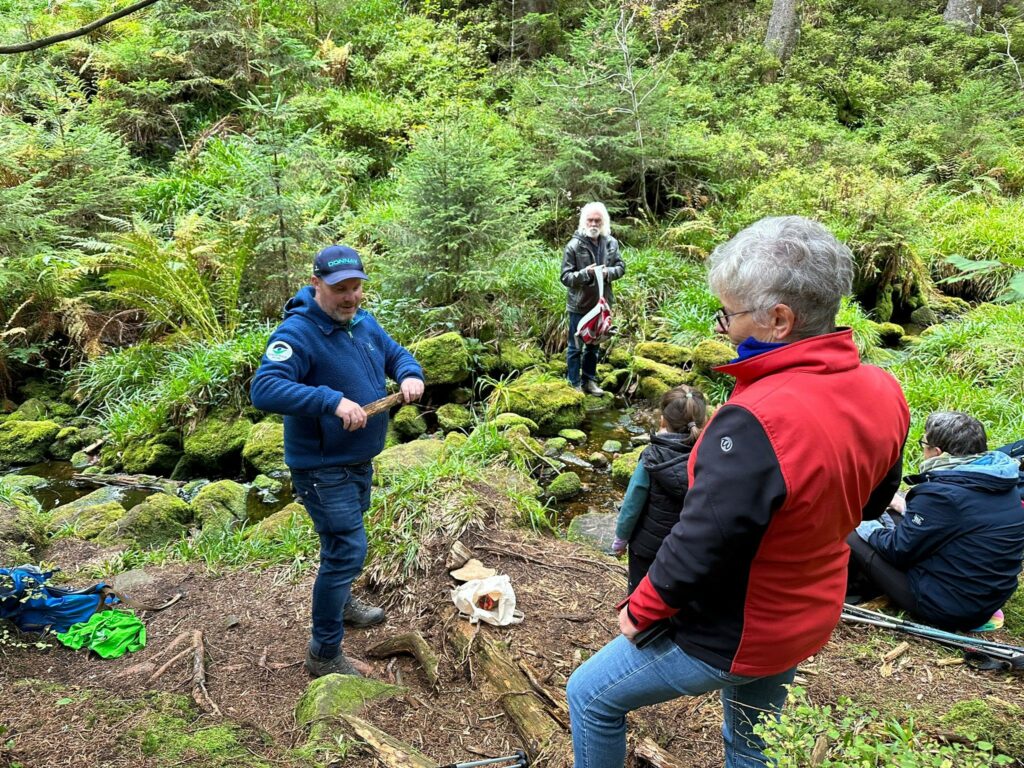 Spannende Experimente zum Totholz