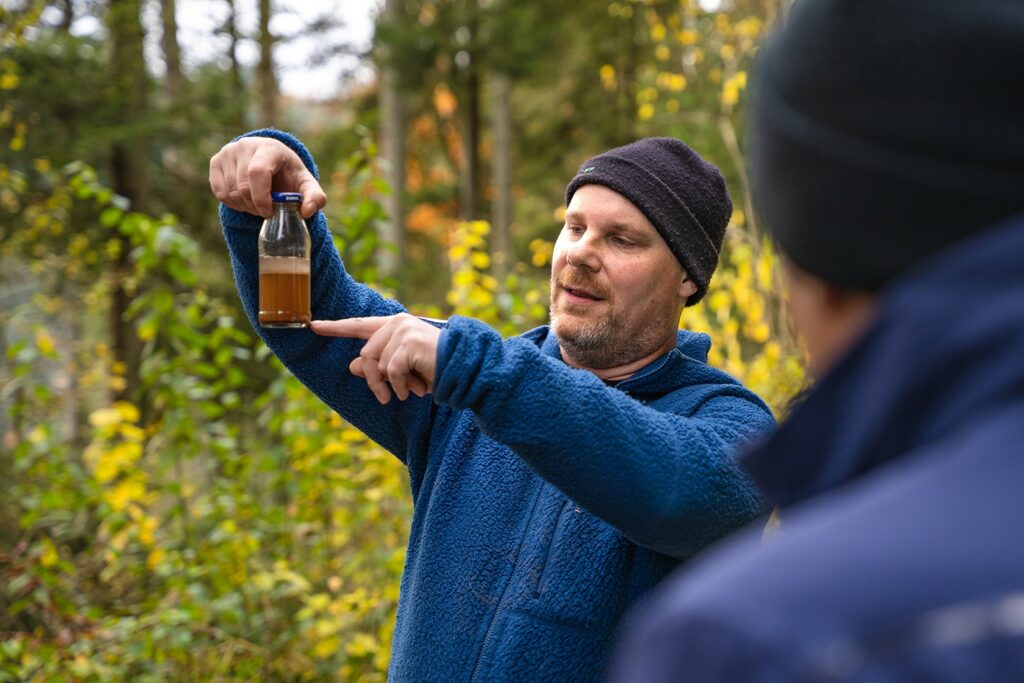 Spannendes Experiment zum Totholz