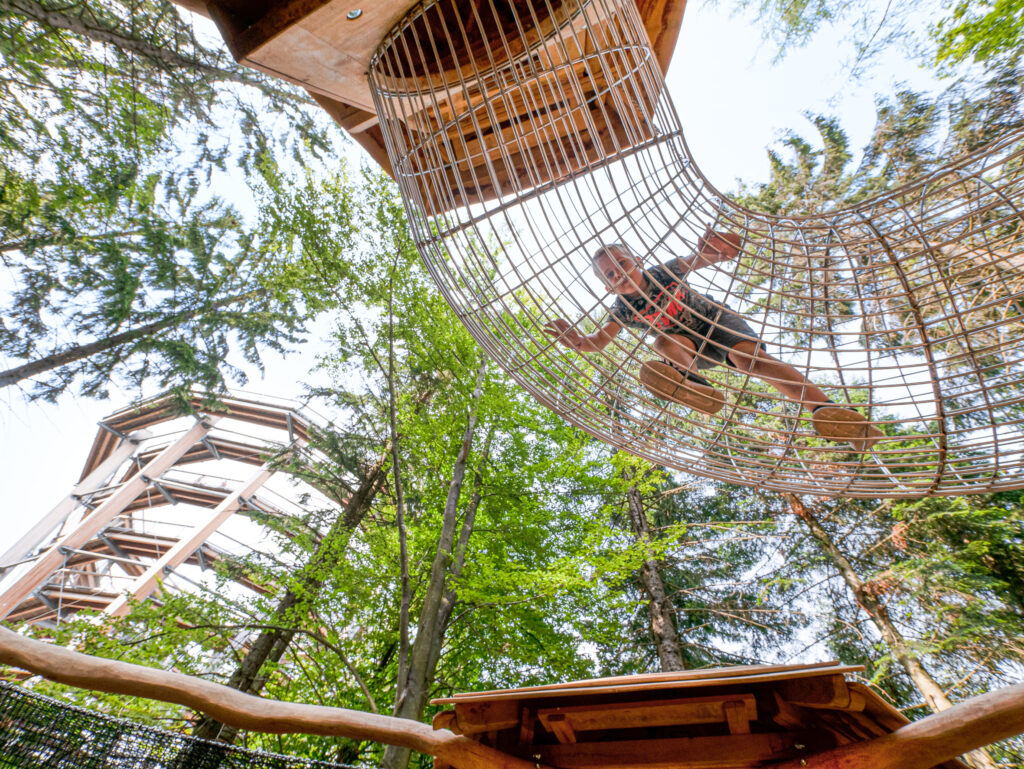 Abenteuerwald Sommerberg beim Baumwipfelpfad 