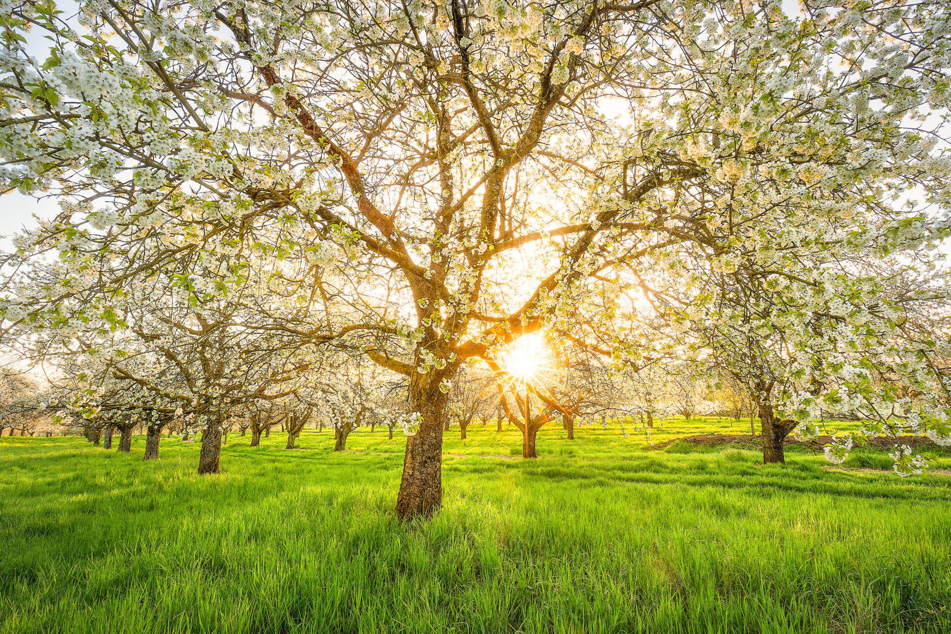 geroldsauer_wasserfall_relax_liege-4