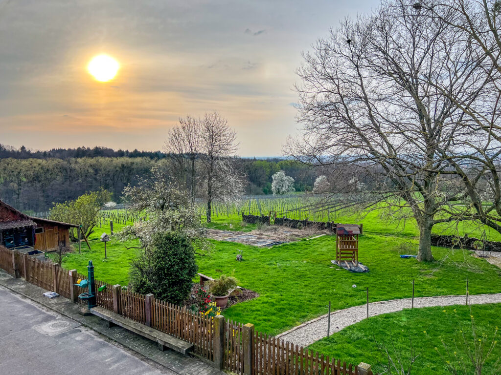 Aspichhof Landschaft