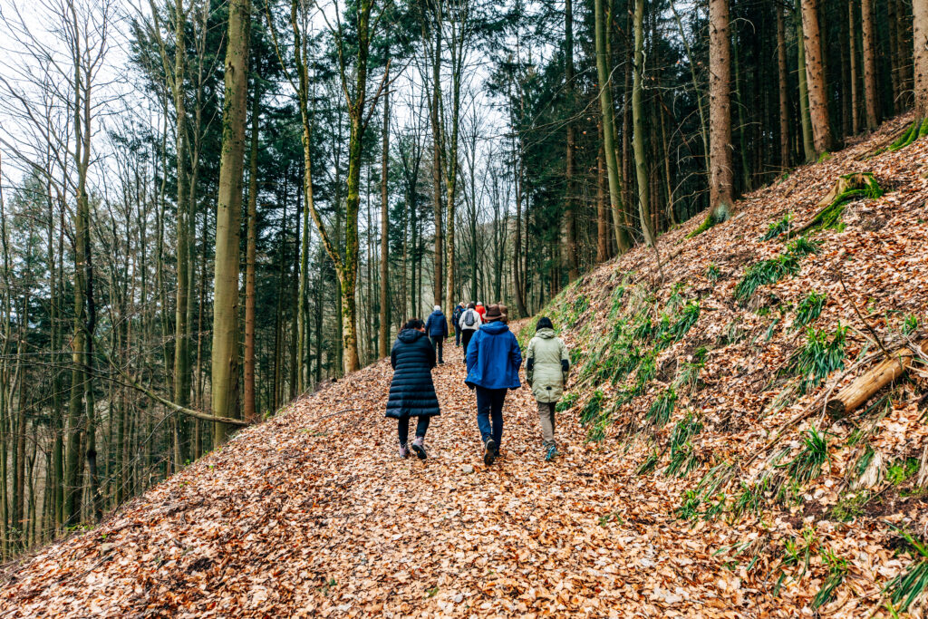 Pirschgang durchs Jagdrevier Ebersteinburg
