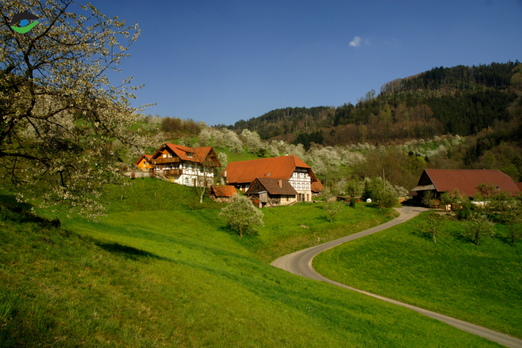 Schwarzwald Landschaft mit Streuobstwiesen