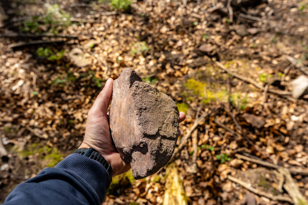 Geo-Tour Straubenhardt mit Dr. Andreas Megerle