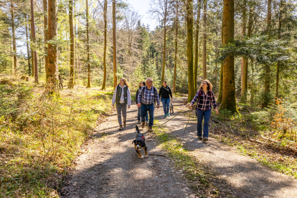 Naturpark Geo-Touren 