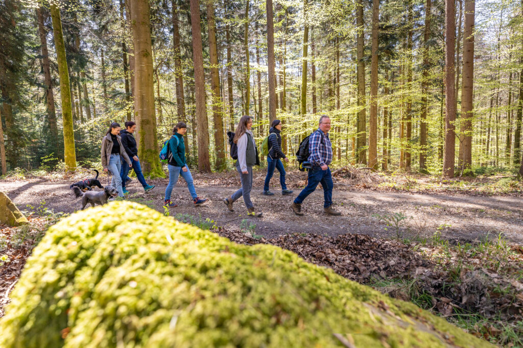 Naturpark Geo-Touren 