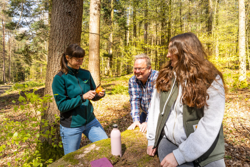 Naturpark Geo-Touren 