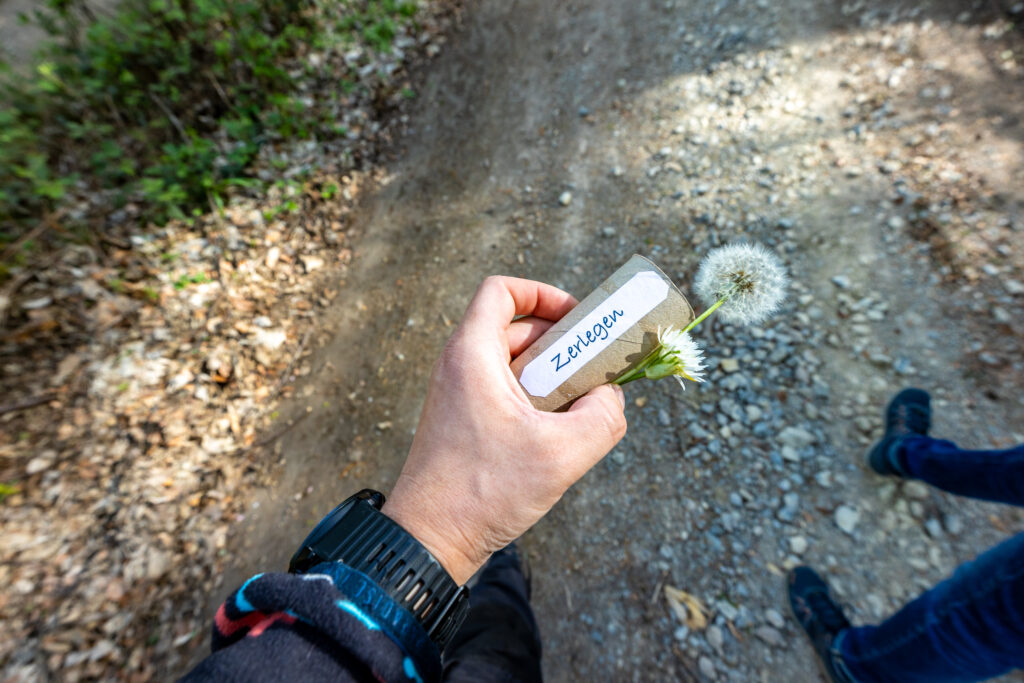 Neugieroskop im Einsatz 