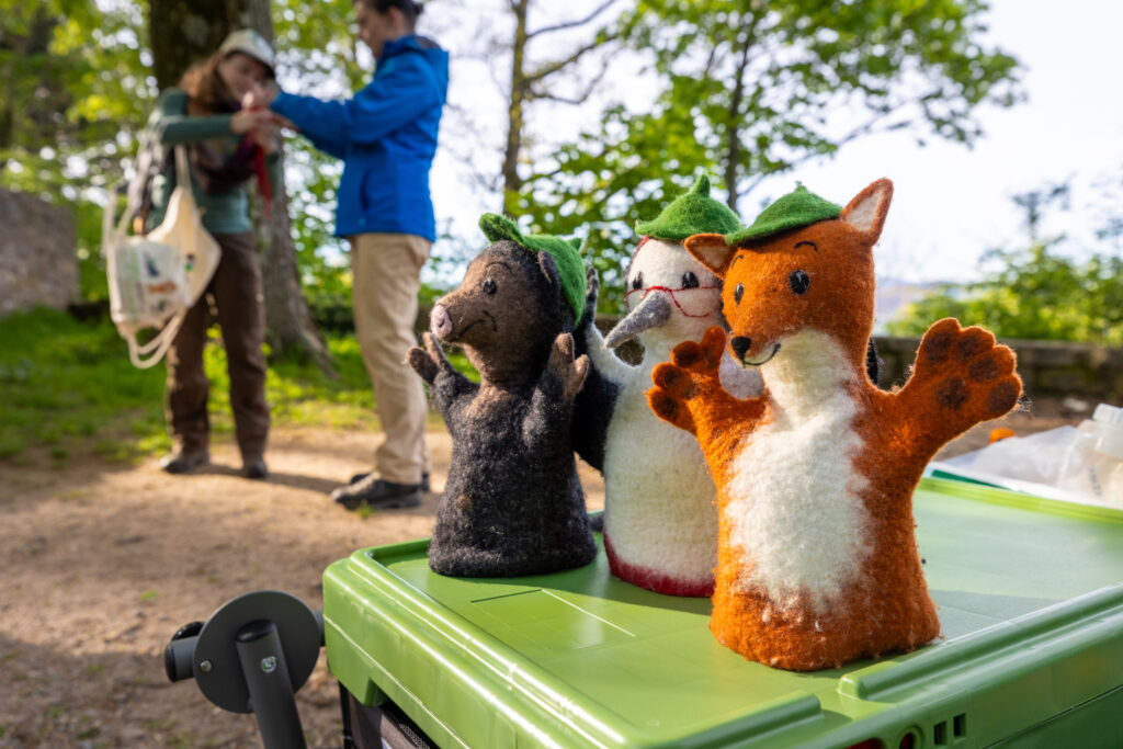 Naturpark Detektive Schwarzwald Guide Fortbildung