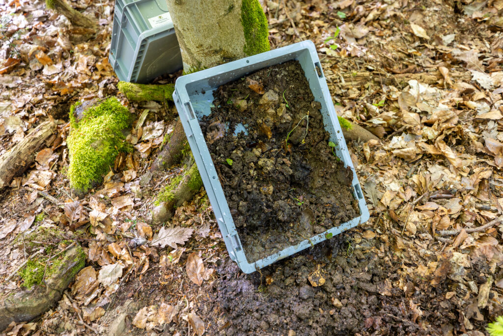 Schwarzwald Guide Fortbildung