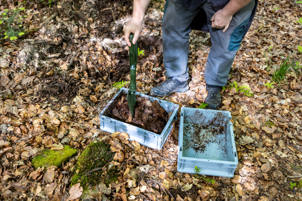 Schwarzwald Guide Fortbildung