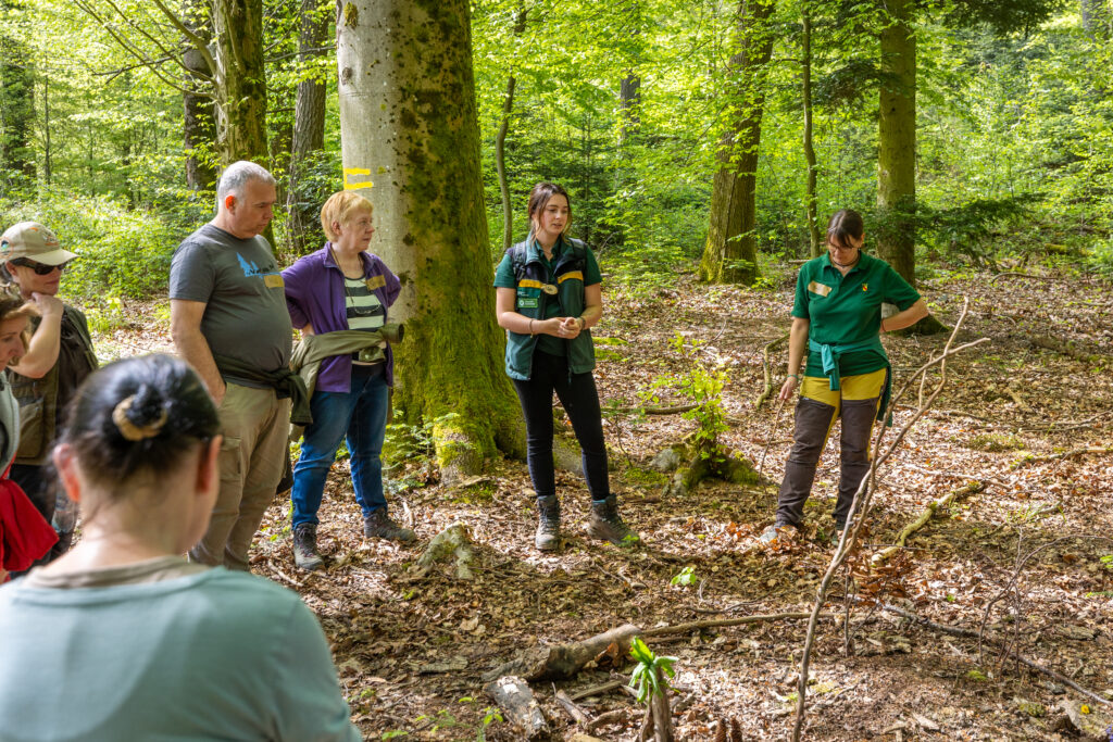 Schwarzwald Guide Fortbildung