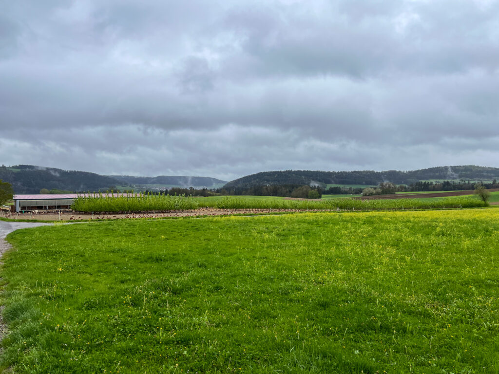 Blick über Tourismus Nördlicher Schwarzwald