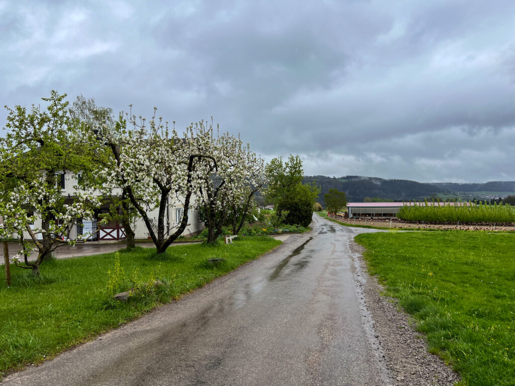 Landschaft Tourismus Nördlicher Schwarzwald