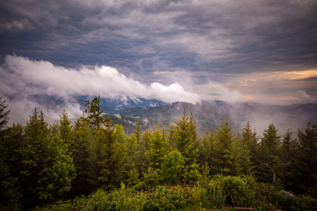 Beeindruckende Natur auf der Panoramawanderung