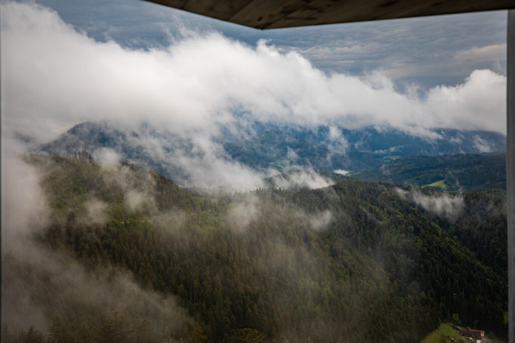 Wilder Naturpark Schwarzwald Mitte/Nord vom Buchkopfturm aus