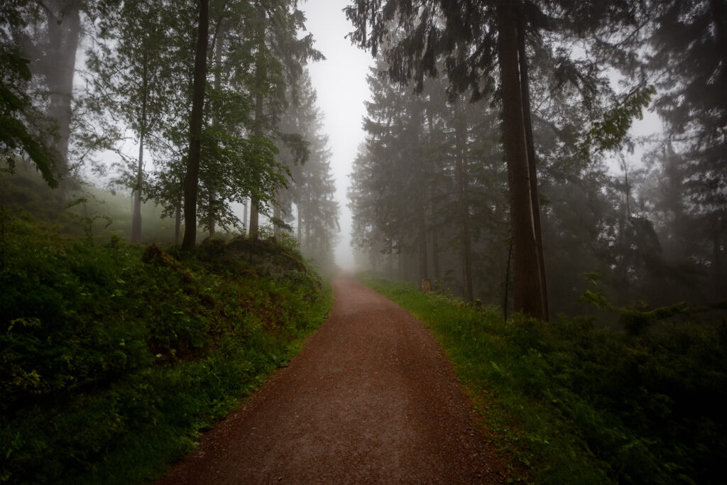 Mystischer Schwarzwald
