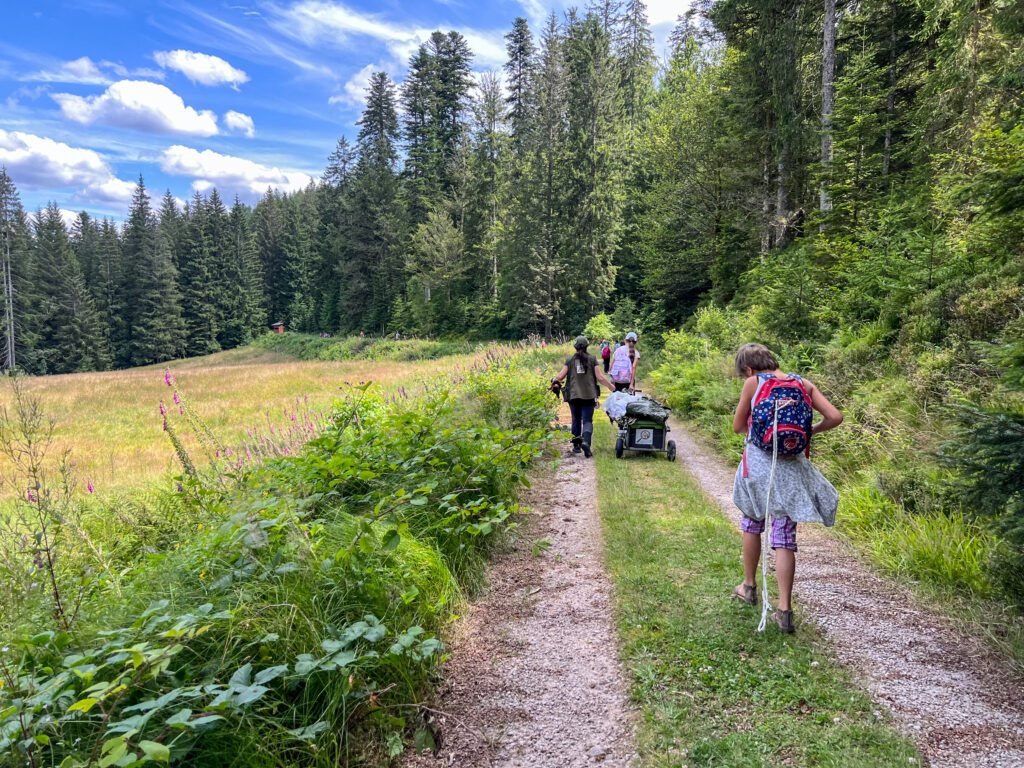 Schüler laufen am Waldrand entlang