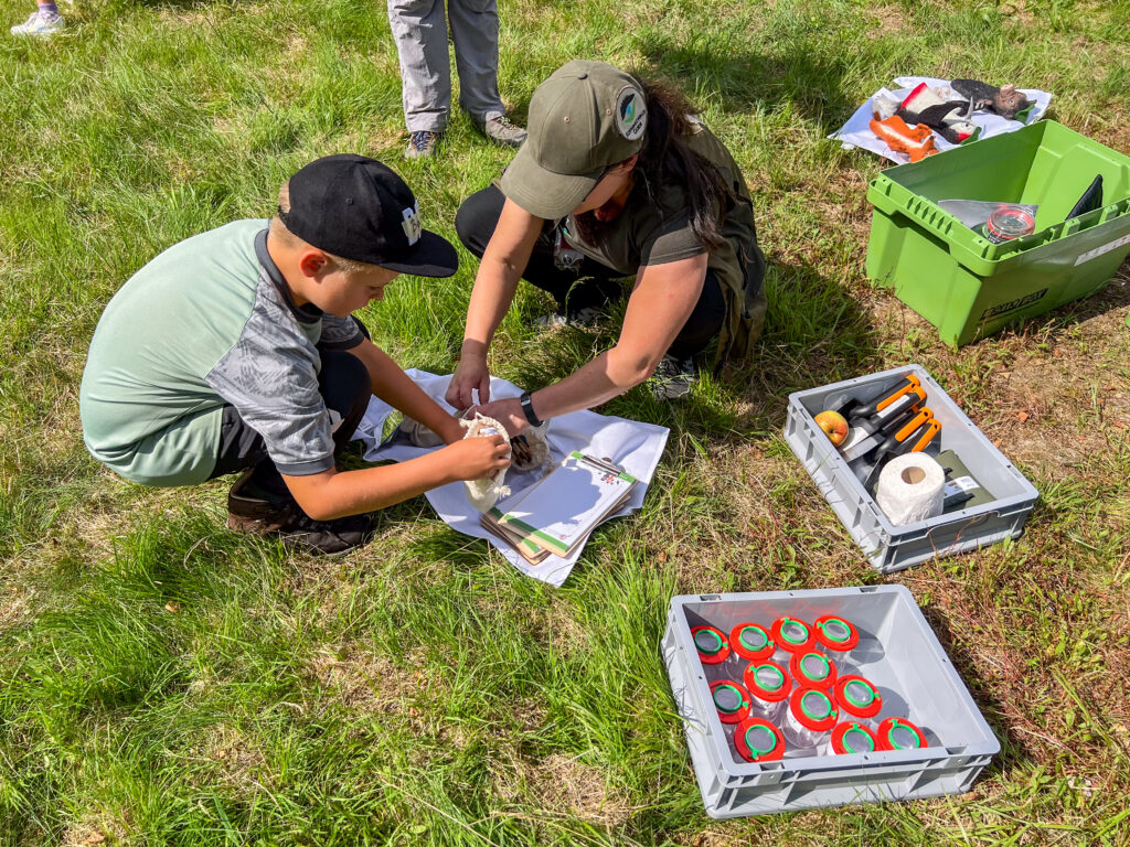 Frau und Junge räumen Kiste aus