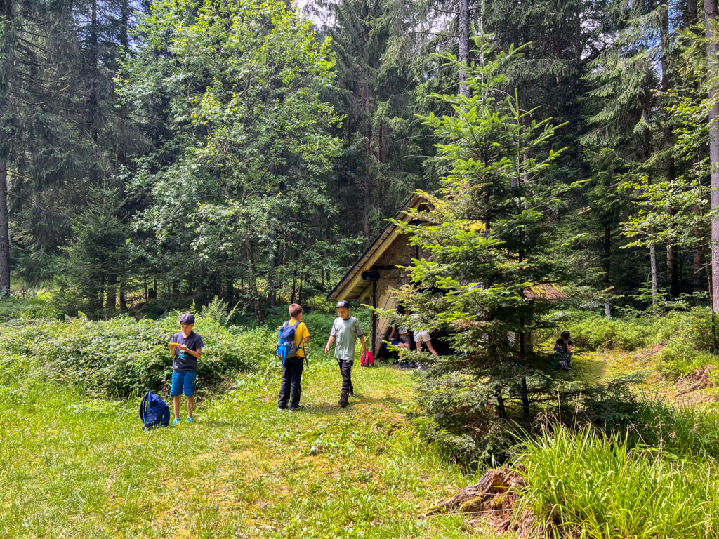 Hütte im Wald