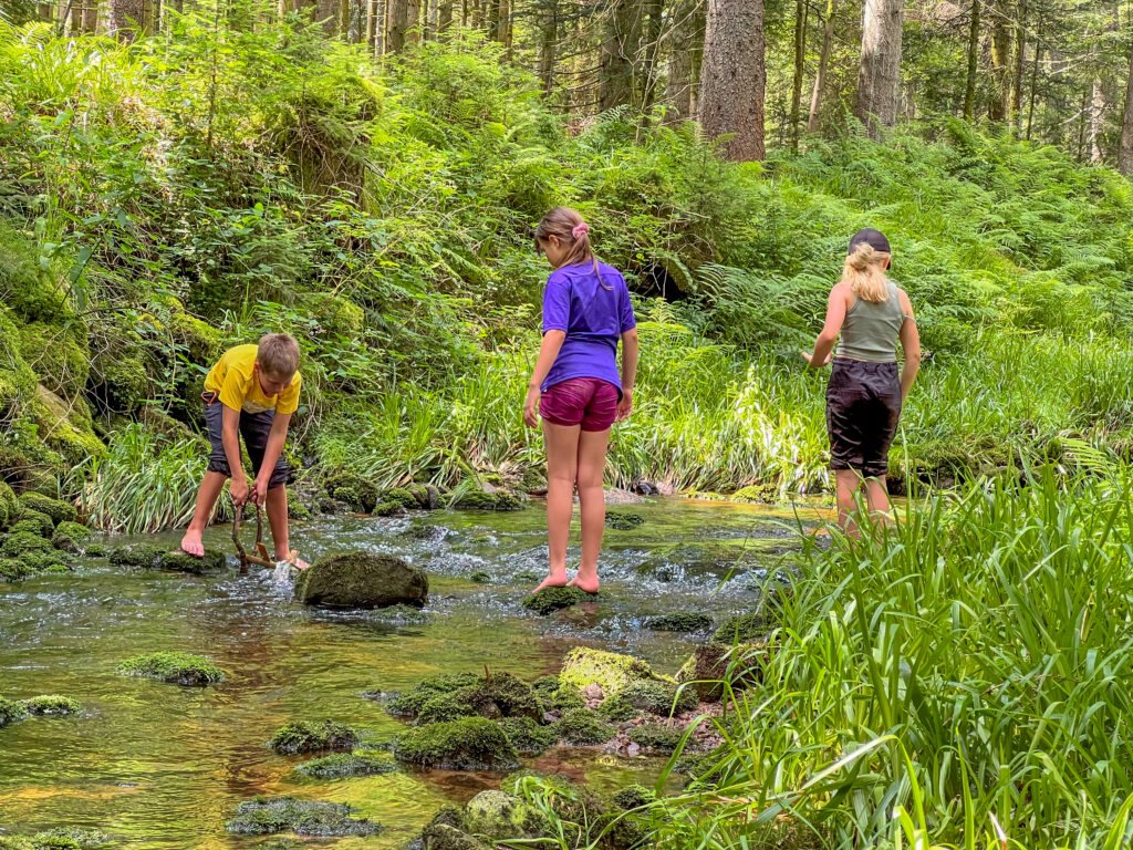 Kinder im Bach