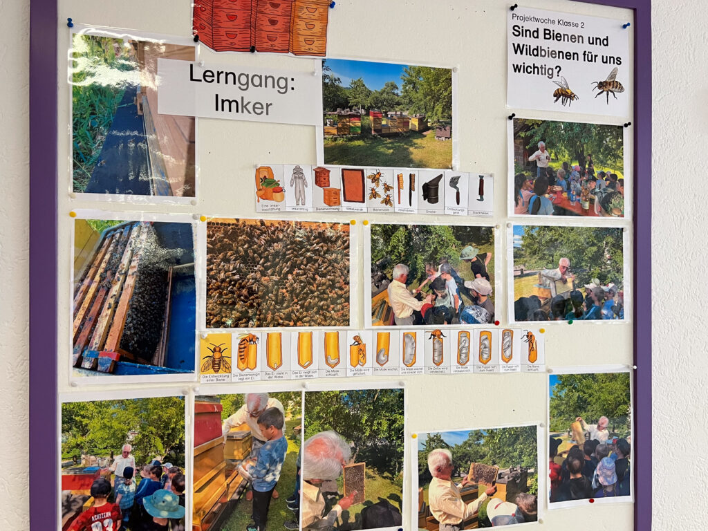 Imker Lerngang in der Naturpark-Schule 