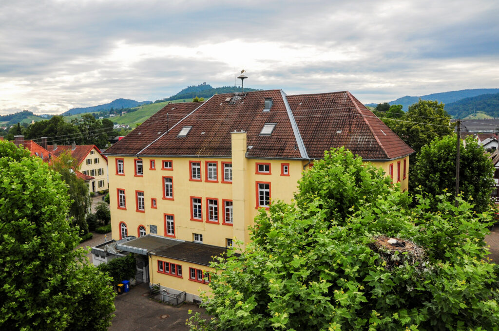 Storch in Baden-Baden 
