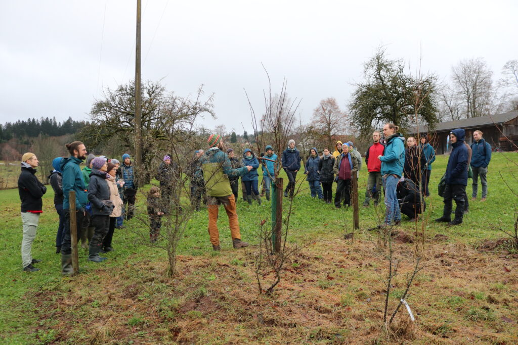 Gruppe von Menschen auf einem Feld mit Bäumen