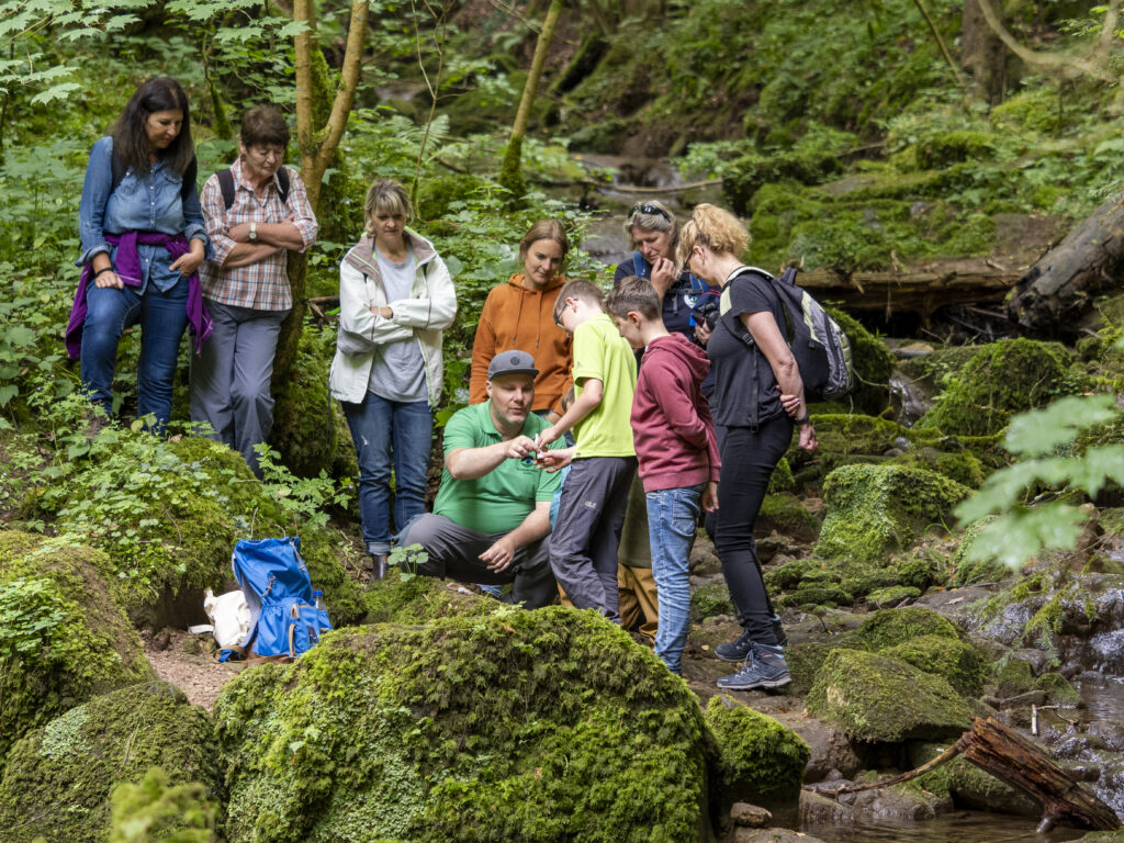 Gruppe von Menschen im Wald