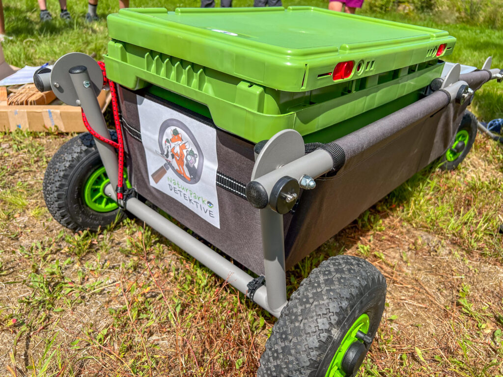 Naturpark-Entdeckerwagen